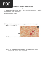 Constituição Do Sangue e o Sistema Circulatório Teste CN 9º Ano