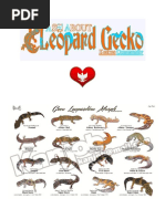 Download Leopard Gecko Indonesia by Ikantapa Budy SN299266578 doc pdf