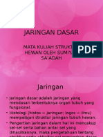 Jaringan Dasar