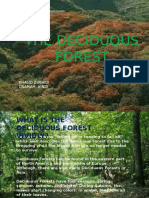 The Deciduous Forest