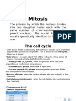 Mitosis Lecture