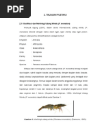 Download klasifikasi dan morfologi udang by Anonymous 9Jspw2zgB SN299283661 doc pdf