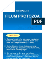 02 Protozoa PDF