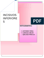 Incisivos Centrales Inferiores 