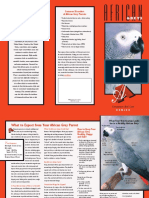 African Greys Leaflet