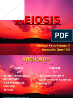 meisosis.ppt