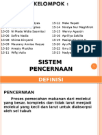 Sistem Pencernaan Kelompok 1 