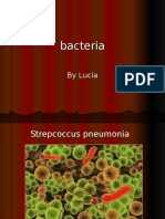 Bacteria by LUCIA