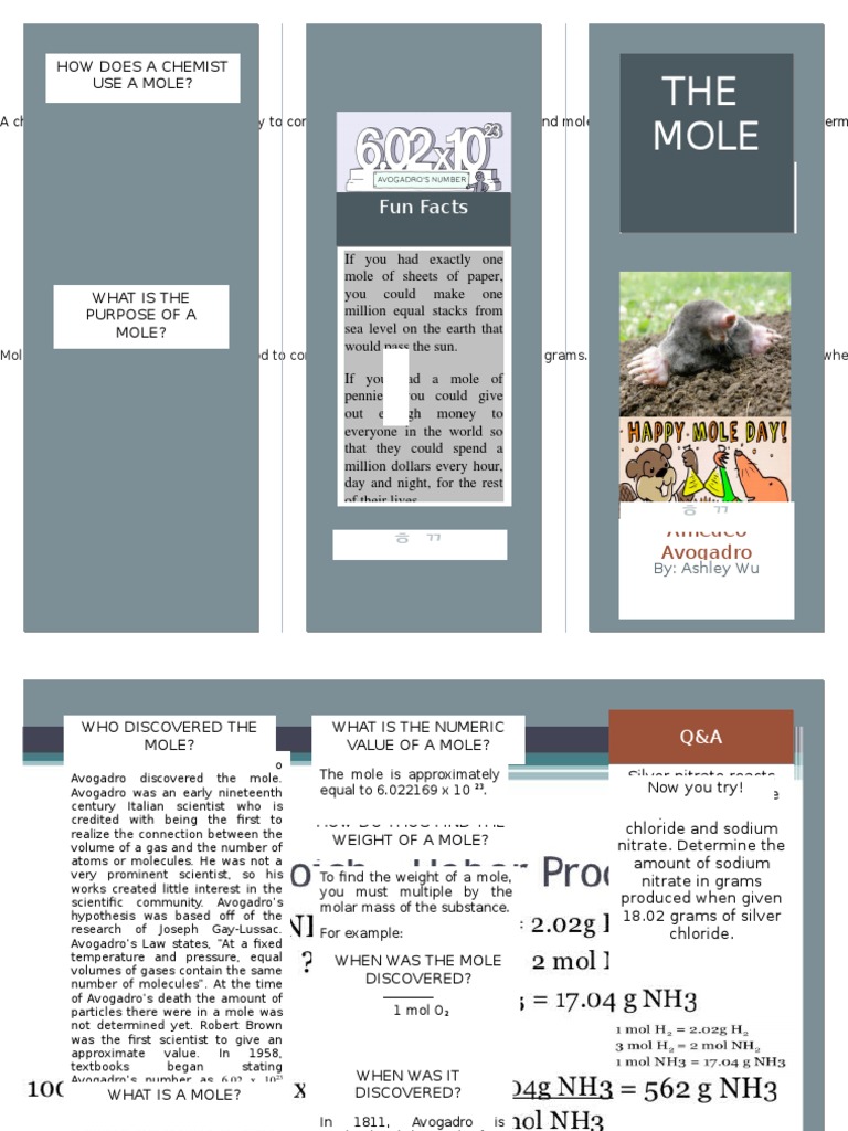 Understanding the Mole in Chemistry | PDF
