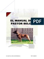Pastor Belga Malinois