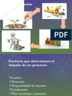 La Determinación Del Tamaño y Las Decisiones de Localización Planta Industrial