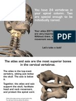 Skeleton AtlasAxis 041715