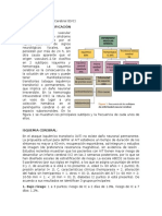 Fisiopatologia EVC