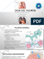 Anatomia Patologica - Pulmones