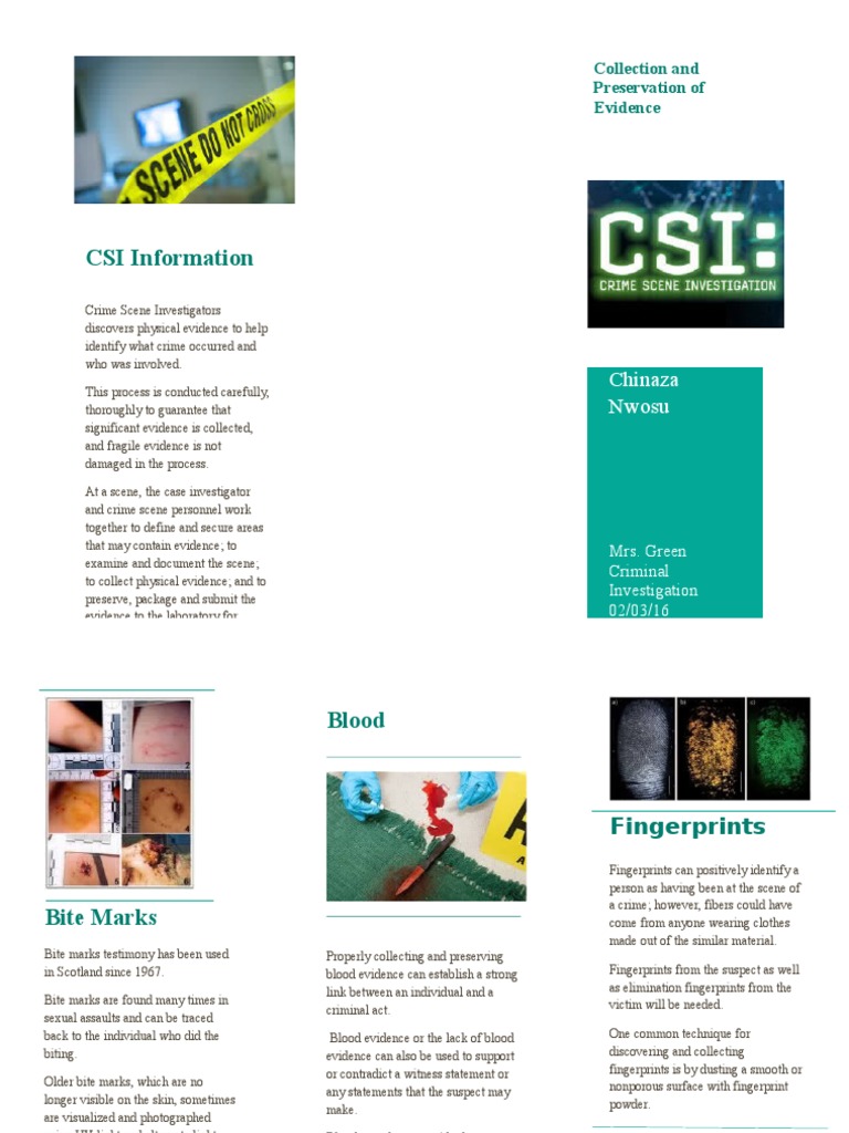 Csi Pamphlet | PDF