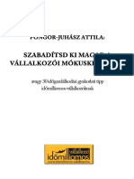 Pongor-Juhász Attila: Mesterkurzus - Ebook