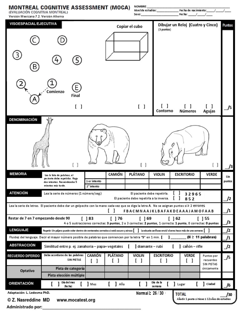 Moca Printable Printable Word Searches