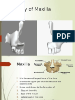 Anatomy of Maxilla