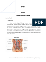 Hipokalemia Word