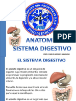 Sistema Digestivo Psf