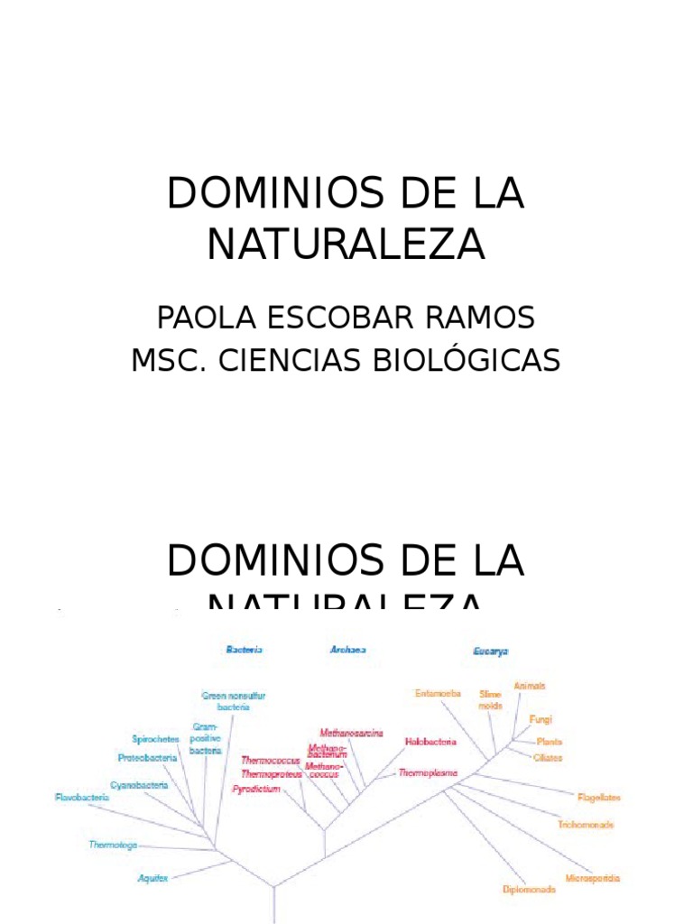 Dominios de La Naturaleza | Las bacterias | Membrana celular