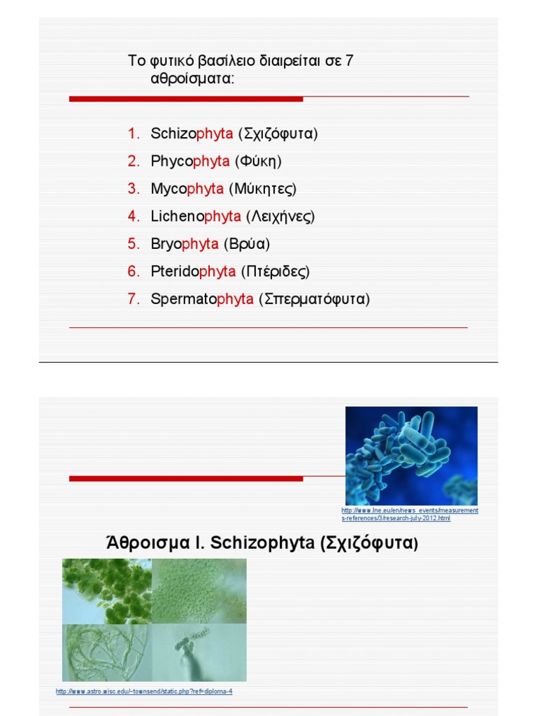 2. Schizophyta Phycophyta Mycophyta Lichenophyta Bryophyta 2014 2015