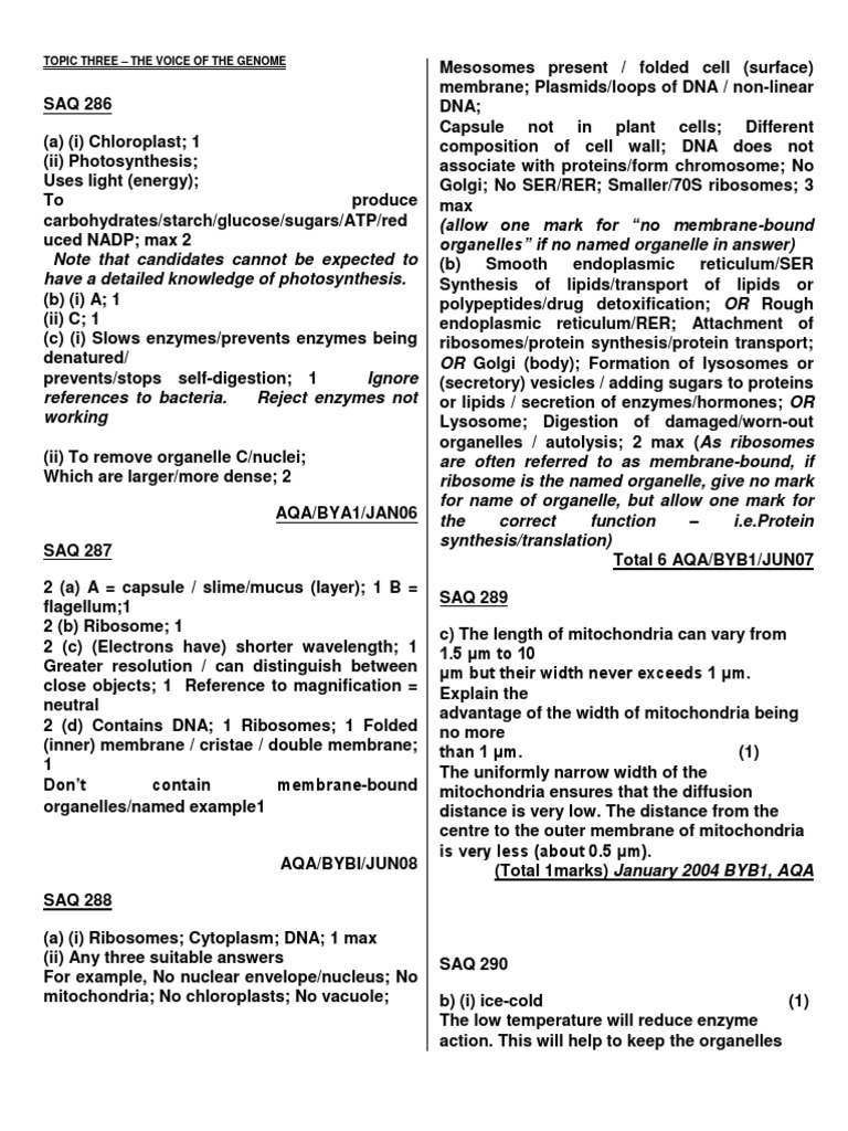 Meiosis notes worksheet picture