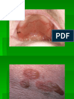 Imagini Examen dermatologie Explicate.