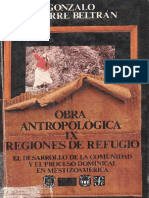 Regiones de Refugio - Aguirre Beltran, Gonzalo