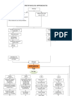 Patofisiologi Apendicitis