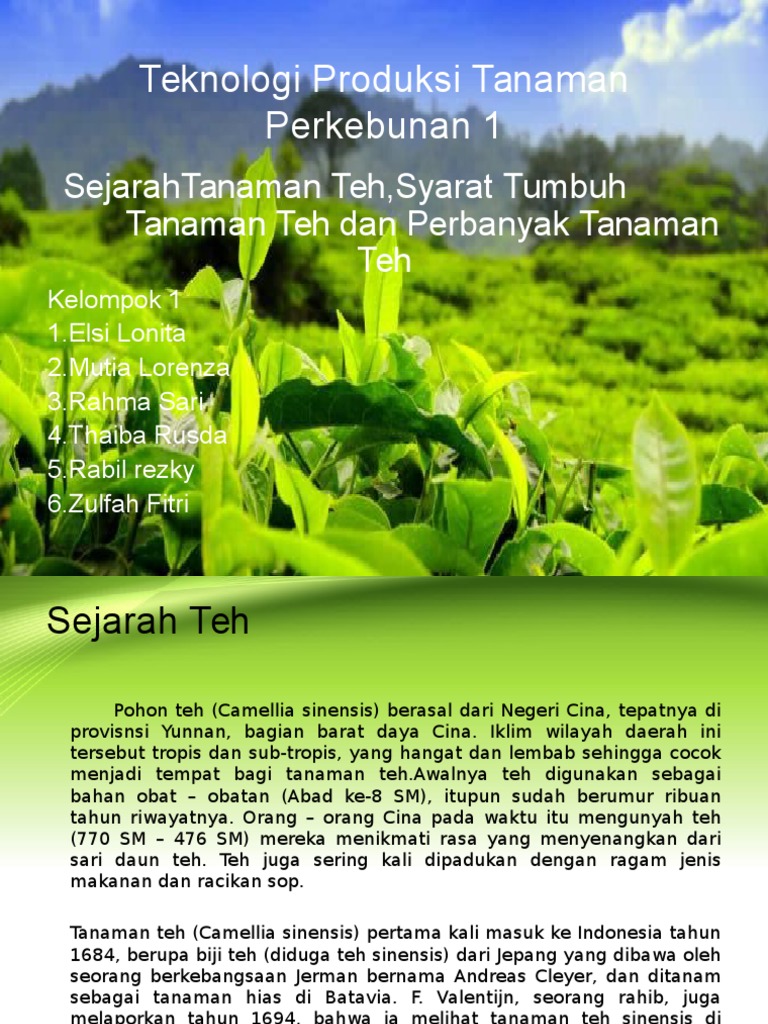 Dapatkan Inspirasi Untuk Budidaya Tanaman  Hias  Ppt  Bunga  Dapatkan Inspirasi Untuk Budidaya Tanaman  Hias  Ppt  Bunga