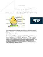 Los principales neurotransmisores: acetilcolina, norepinefrina, dopamina, serotonina y sus funciones