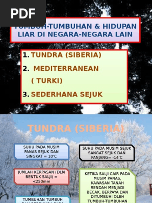 Tumbuh Tumbuhanhidupanliardinegara Negaralain 131007224803 Phpapp02 Pdf