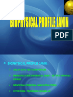 2. Bioprofile Janin (Rhr)
