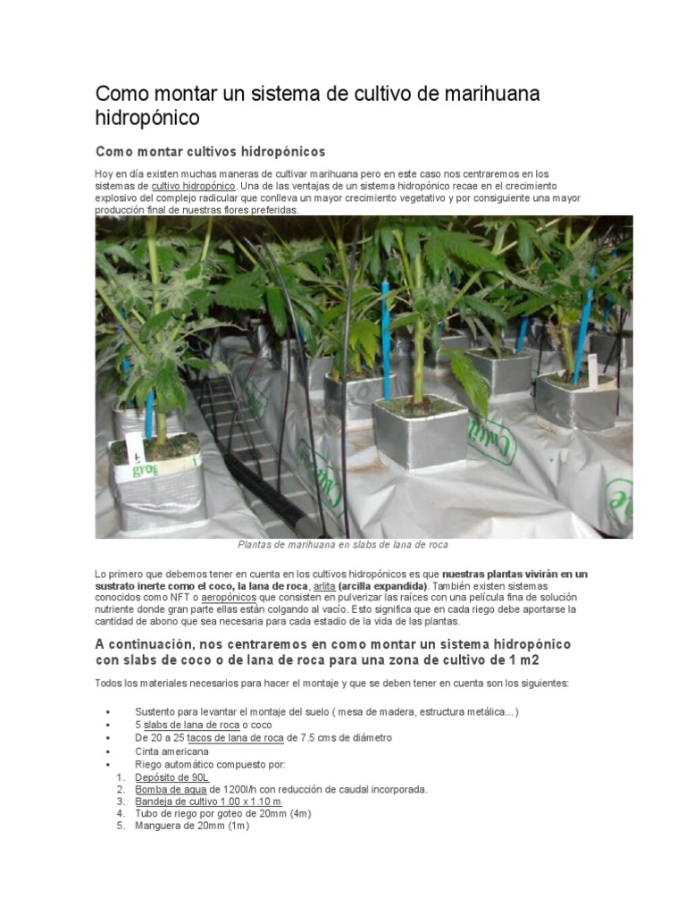 Cultivos Hidroponicos | PDF | Hidroponia | Cannabis (Droga), image size:768x1024