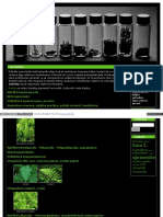 Svartberg Org Biljke Index PHP PDF