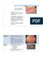 Atlas de Cortes Histológicos