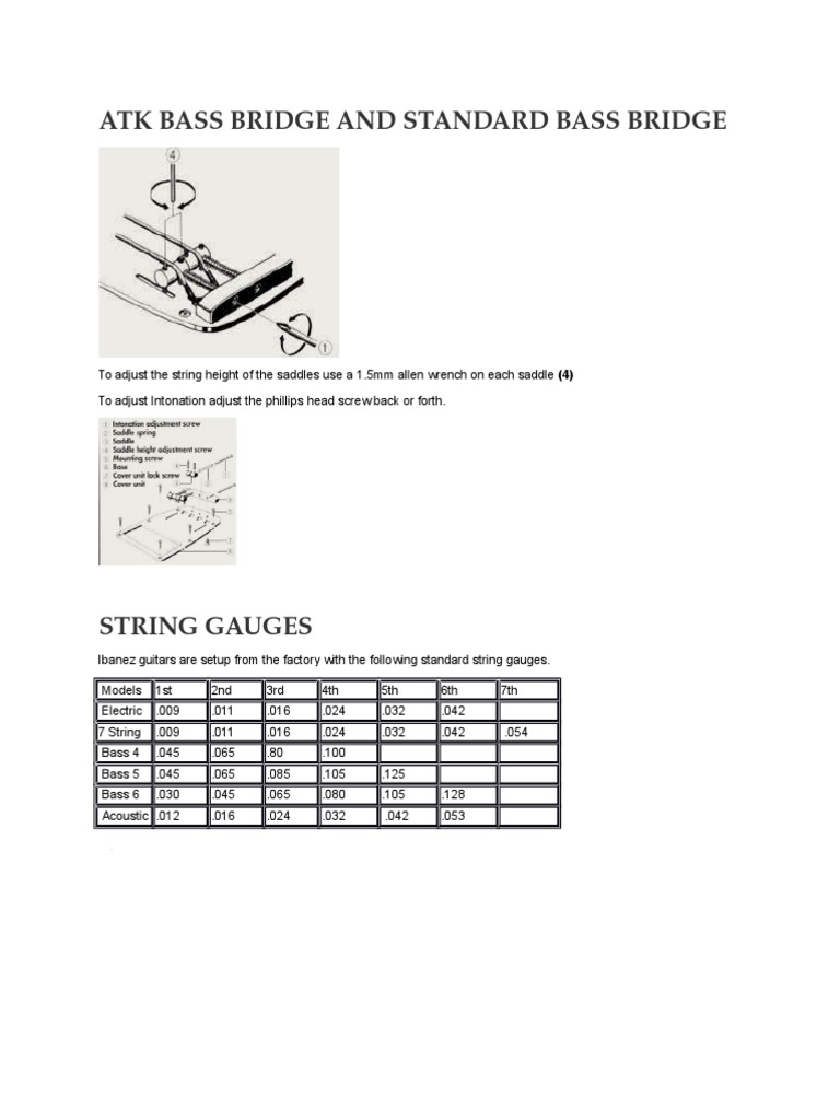 Atk Bass Bridge Set Up Review PDF Bass Guitar Guitars
