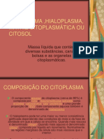 Citoplasma, Hialoplasma