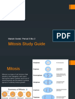 Mitosis Study Guide