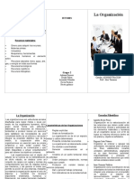 Principios de la Organización.doc