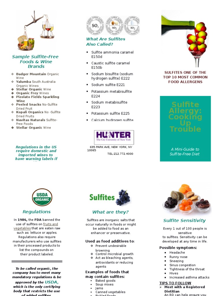 Brochure Sulfites | PDF