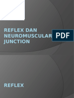 Reflex Dan Neuromuscular Junction