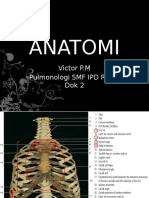 Anatomi Histologi