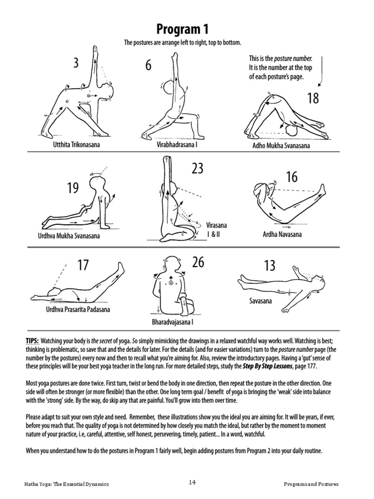 Yoga Programs 1, 2 Anatomical Terms Of Motion Foot Free 30day