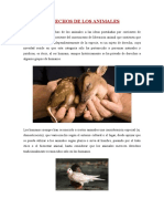 Derechos de Los Animales