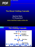 Blood Clotting Cascade