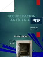 (550988953) Recuperacion Antigenica