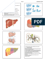 Cirugia 3 PDF