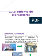 Escalamiento de Bioreactores Introduccion